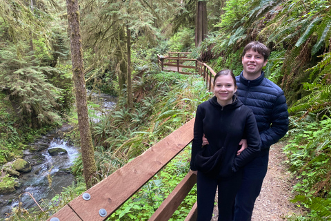 Seattle: Rainforest and Olympic National Park Highlights Olympic National Park: Rainforest, Beach, and highlights