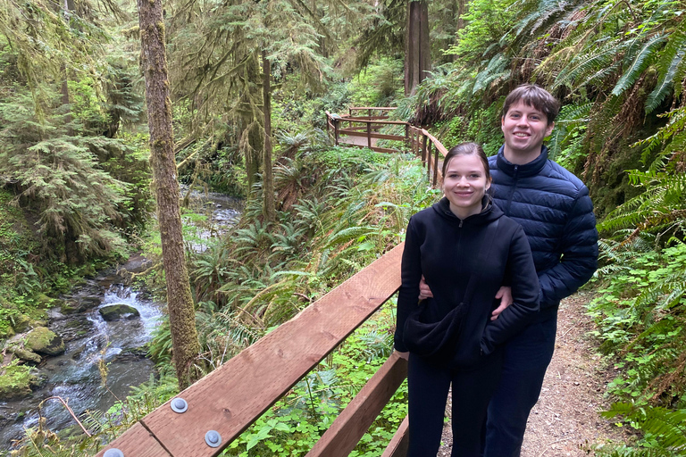 Seattle: Rainforest and Olympic National Park Highlights Olympic National Park: Rainforest, Beach, and highlights