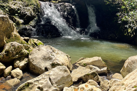 Caguas : Aventure dans les cascades et les grottes