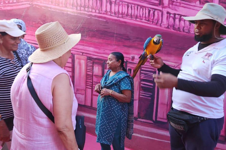 普拉塔港：从泰诺湾/安伯湾出发的猴子之旅和城市之旅普拉塔港：塔伊诺湾/安伯湾的猴子之旅和城市之旅