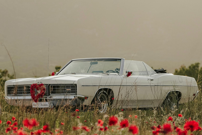 Genève: privé-dagtrip naar Montreux, Lausanne en Gruyères