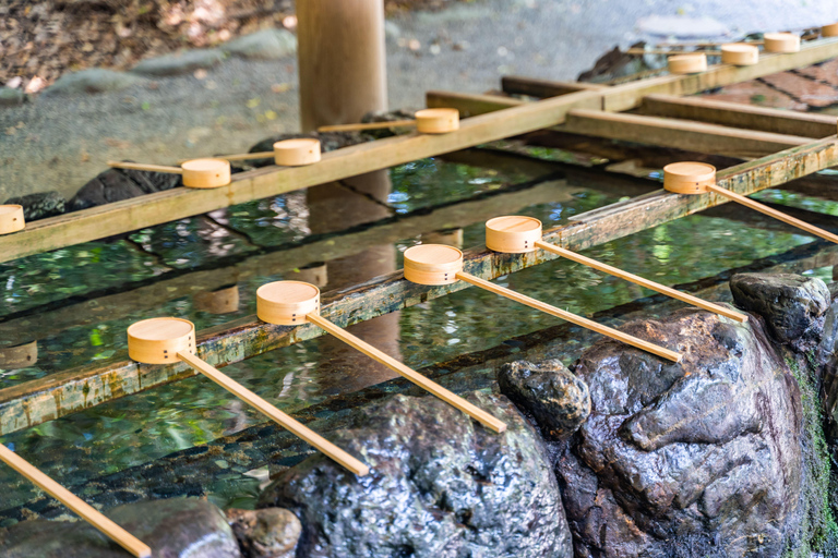 Nagoya Food and Culture tour: Atsuta Shrine and Osu Market