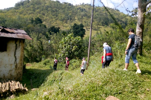Esplora le cascate iconiche di Ella con un&#039;avventura panoramica in tuk-tuk