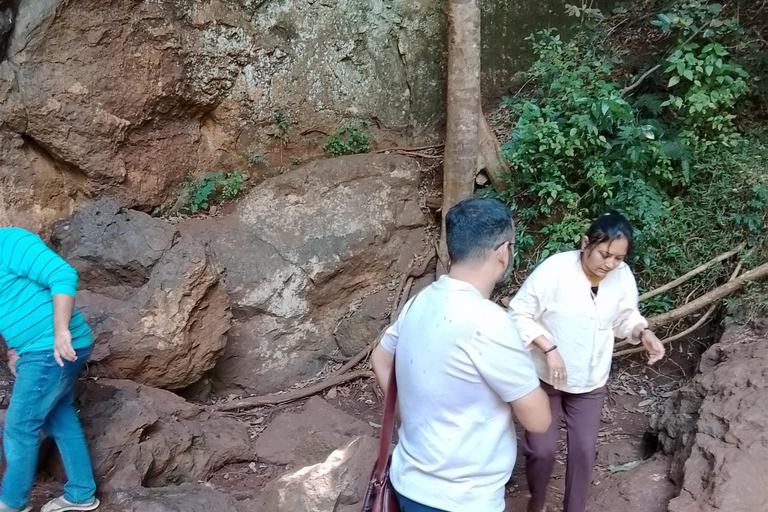 Nairobi: tour guiado a pie por el bosque de Karura