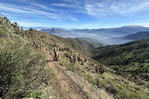 Andes Day Hike from Santiago: Summit Alto del Naranjo