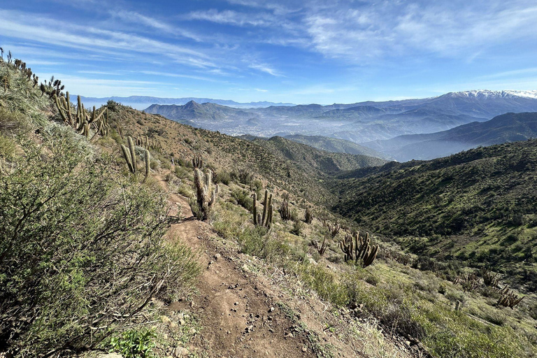 Andes Day Hike from Santiago: Summit Alto del Naranjo