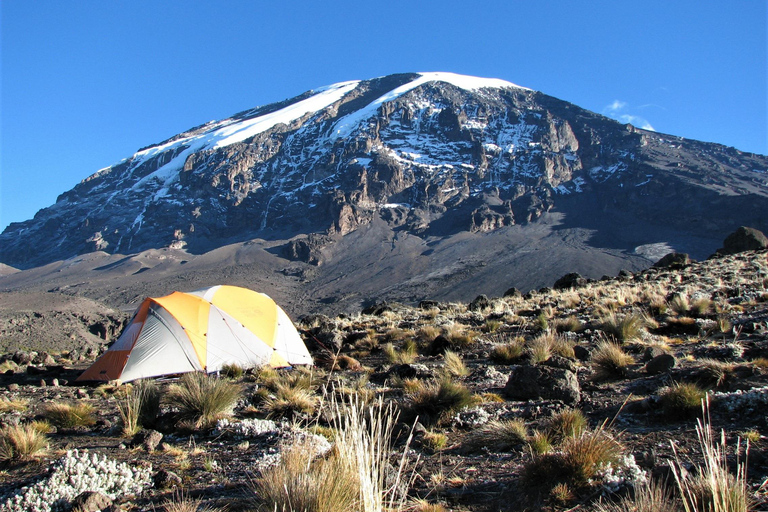Kilimanjaro: Caminhada de 6 dias na Rota Machame com estadia num hotel