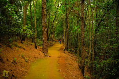 Jamacho Day Hike in Kathmandu - 1 Day