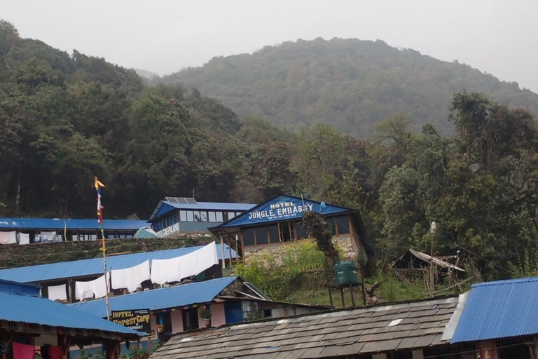 Pokhara : 5 jours de trek au camp de base du Mardi Himal avec transferts