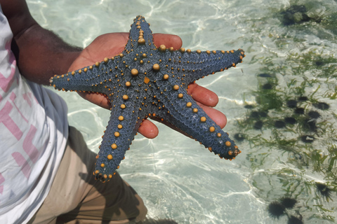 Zanzibar: Cidade de Pedra e Ilha Prisão, Safari Azul, Pôr do sol no Norte