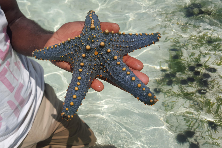 Zanzibar : Stone Town et l&#039;île de la Prison, Safari bleu, Coucher de soleil dans le Nord