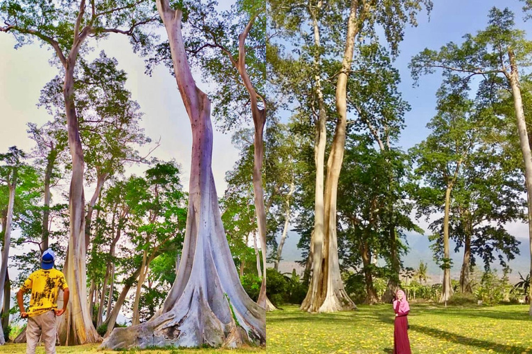 Secret Gili's Lombok: Gili Kondo, Kapal, Petagan, Bidara Start From: Senggigi,Mangsit,Mataram,Airport Lombok