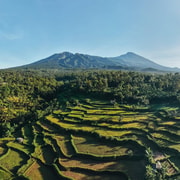 Lombok: Tetebatu Rice Terraces, Waterfalls, Forest & Tubing