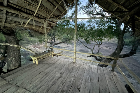 Fuga à luz das estrelas: Observa as estrelas a partir de uma cabana na árvore em Sigiriya