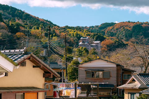 Specjalna wycieczka Kawazu Sakura Strawberry Hot Spring Day TourMiejsce zbiórki na dworcu w Tokio + japoński lunch w hotelu Onsen