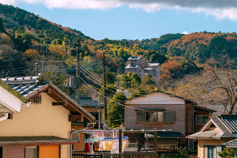 Sakura Special Kawazu Sakura Strawberry Hot Spring Day TourAusgang Shinjuku West