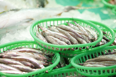 Kanazawa: Food and Tea Culture Private Guided Tour