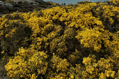 From Dublin: Howth Cliffs Guided Bus Tour