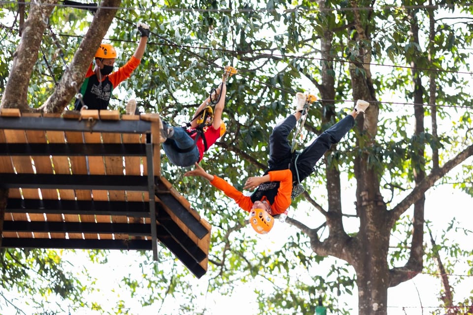 Chiang Mai Pongyang Jungle Coaster And Zipline With Transfer Getyourguide 1306