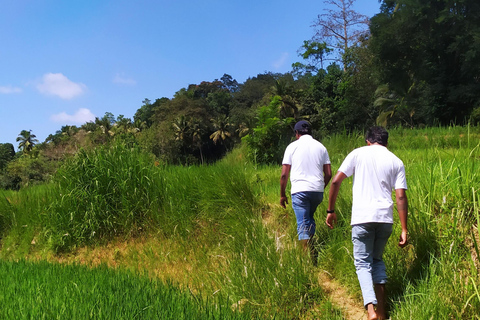 Kandy city tour and village tour in one day