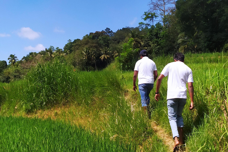 Kandy city tour and village tour in one day