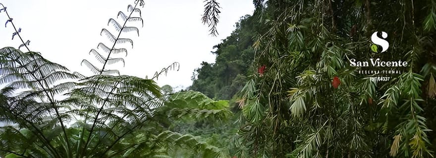 THERMES DE SAN VICENTE ET CIRCUIT BIEN-ÊTRE À SANTA ROSA DE CABAL