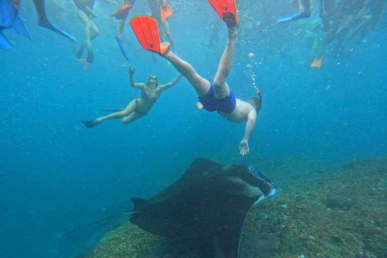 Bali: Excursión a Nusa Penida con Almuerzo y Snorkel en Manta PointBali Excursión de un día a Penida con almuerzo y buceo en Manta Point