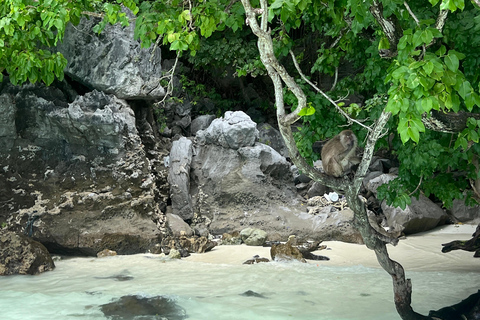 Krabi: 4 Island Sunset Small Group Tour with Night Snorkel