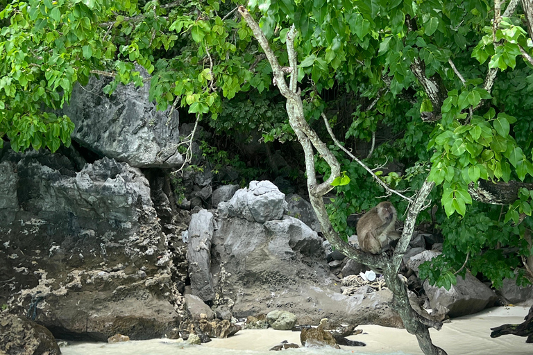 Krabi: 4 Island Sunset Small Group Tour with Night Snorkel