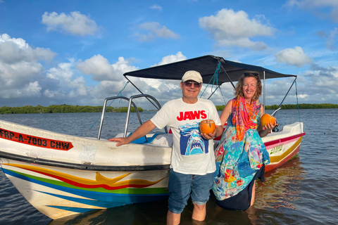 From Negombo: Boat Tour of Negombo Lagoon