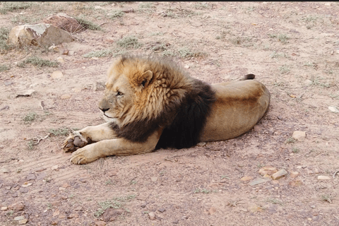 Cape Town - Garden Route Safari
