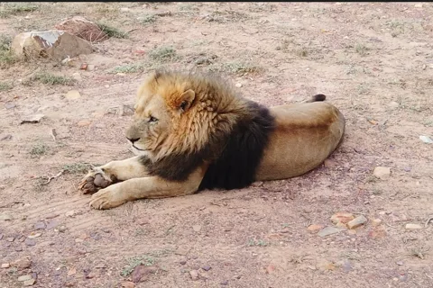 Aquila Safari, transportation from Cape Town