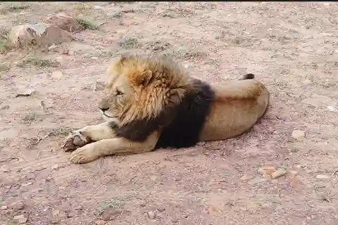 Aquila Safari, transportation from Cape Town