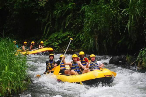 Ubud: Avventura in zip-line, rafting e tour delle terrazze di risoTour con zip-line e terrazze di riso (senza rafting)