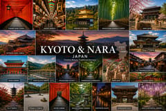 Private Tagestour: Kyoto & Nara mit englischsprachigem Fahrer⭐BEST