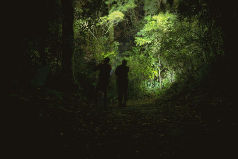 Monteverde: Night Walk at Finca Lantana by the Owners