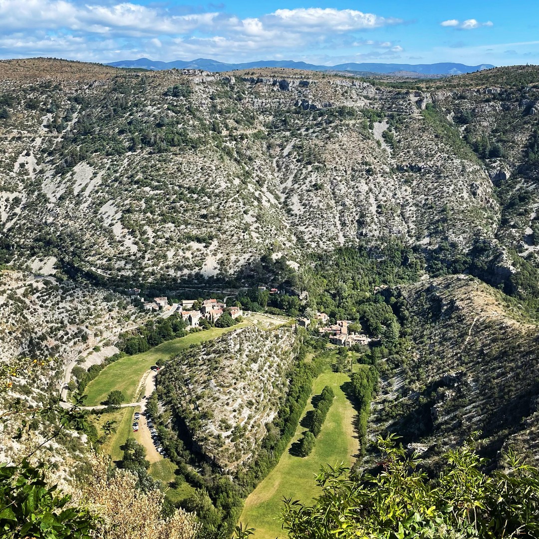 Galería de fotos para redes