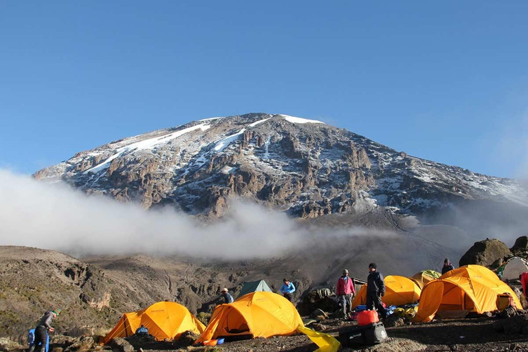 8 أيام من التنزه عبر طريق ليموشو على جبل كليمنجارورحلة لمدة 8 أيام عبر طريق ليموشو إلى جبل كليمنجارو