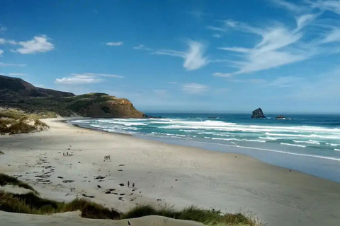 Private Dunedin City Highlights and Otago Peninsula Day Tour Private Dunedin city & Otago Peninsula day Tour (up to 4)