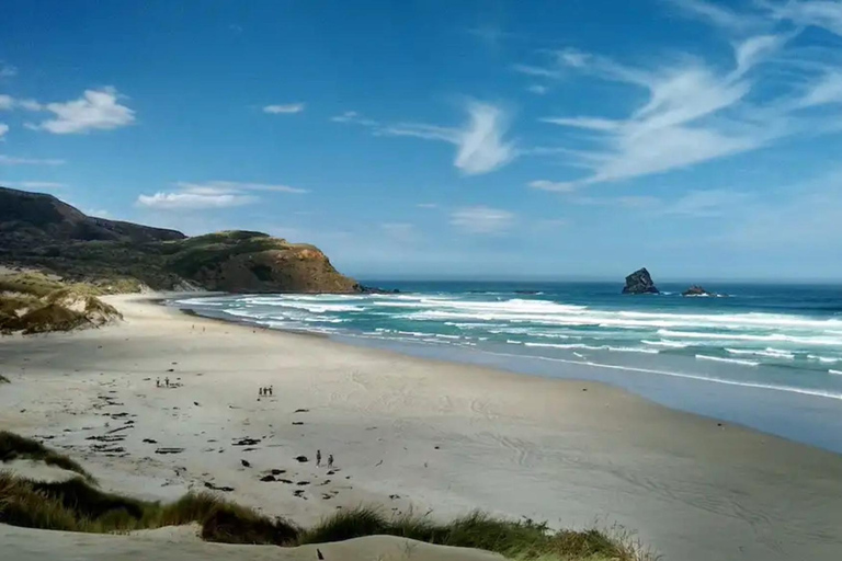 Private Dunedin City Highlights and Otago Peninsula Day Tour Private Dunedin city & Otago Peninsula day Tour (up to 4)