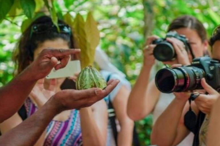زنجبار: مزرعة التوابل وغابة جوزاني ومحمية السلاحف البحريةرحلة خاصة ليوم كامل مع جميع رسوم الدخول و