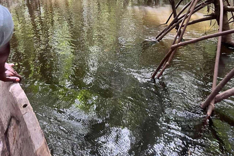 Zanzibar: Las Jozani, Jaskinia Salaam i restauracja RockLas Jozani, jaskinia Salaam i restauracja The Rock. Bez transportu.