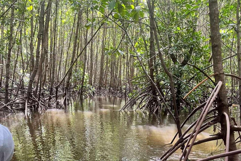 Zanzibar: Las Jozani, Jaskinia Salaam i restauracja RockLas Jozani, jaskinia Salaam i restauracja The Rock. Bez transportu.