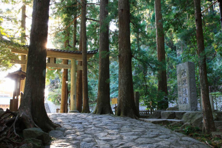 From Tokyo: Nikko World Heritage Sight Full Day Private Tour