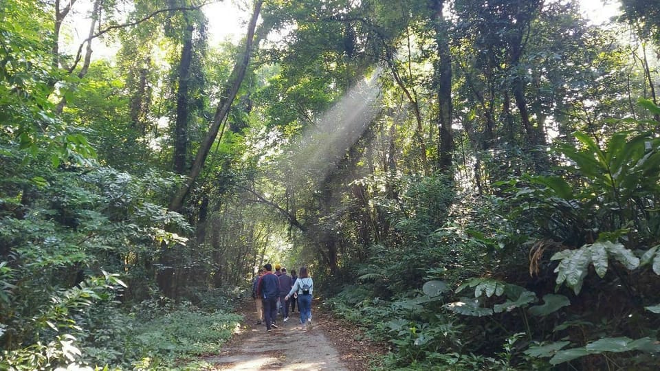 Rainforest at Biosphere 2 Offers Glimpse into Future of the