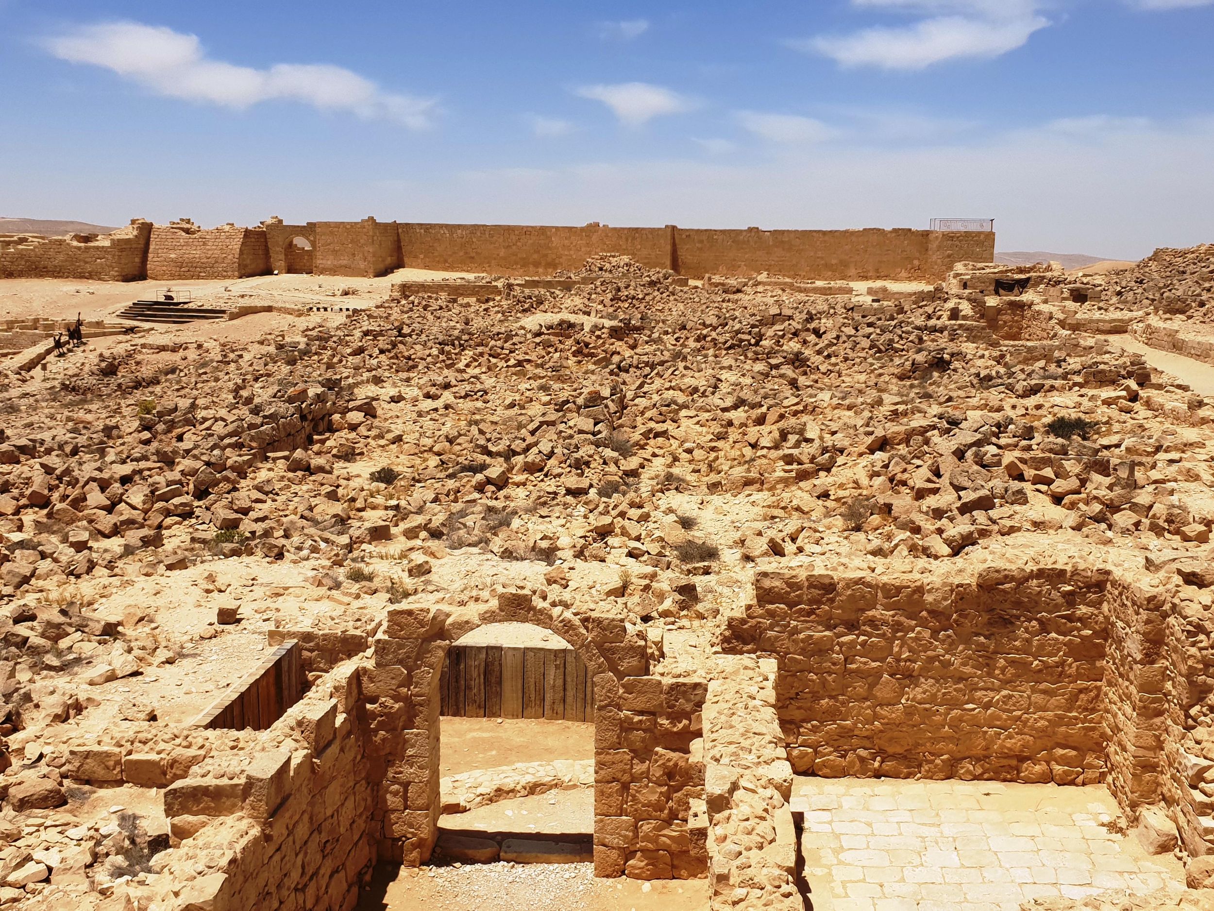 Ab Tel Aviv: Negev-Wüste – private Tour