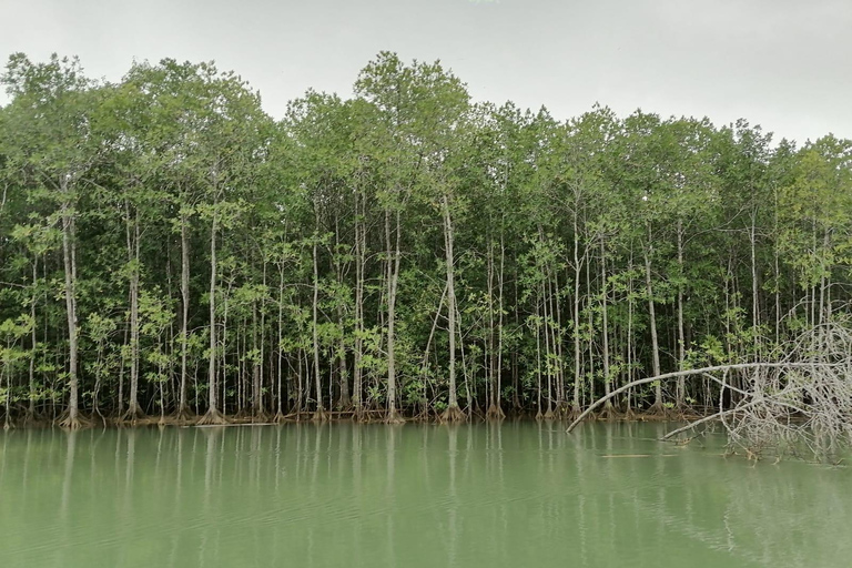 مانويل أنطونيو: جولة بالقارب بين أشجار المانغروف لمشاهدة الحيوانات