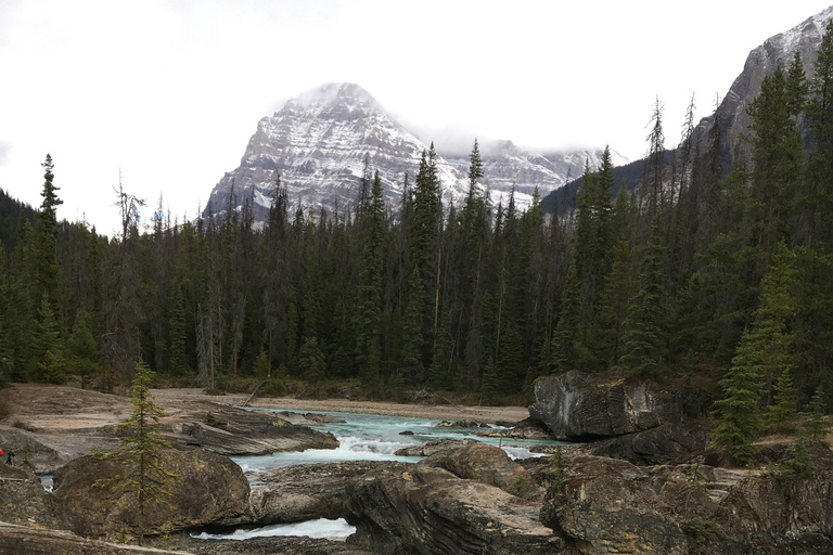 Banff & Yoho: Moraine, Louise, Emerald Lake, Canyon & Falls