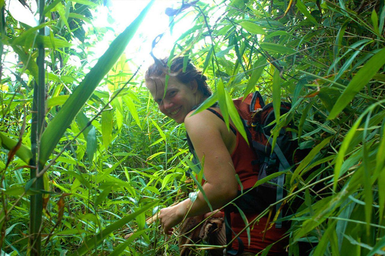 Luang Prabang: Biking, Trekking and Waterfall Private Tour