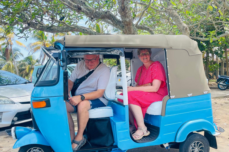 Galle Day Tour with Turtle Hatchery & River Boat Safari